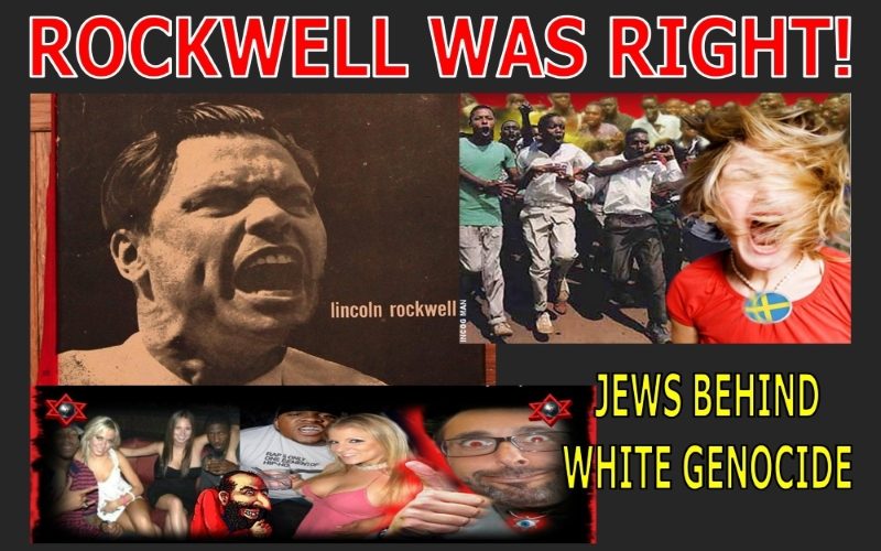 JEWS MANIPULATE BLACKS FOR COMMUNIST TYRANNY AND WHITE GENOCIDE